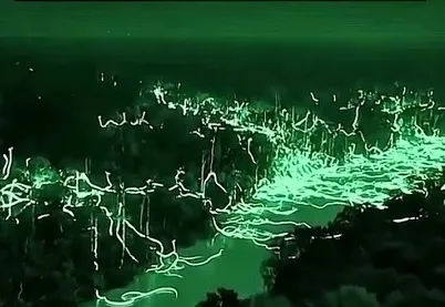 Pamje nga video që tregon forma ndriçuese të ngjashme me zvarranikë.
